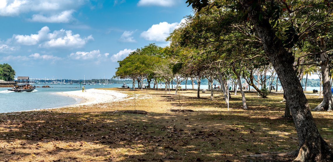 Beyond the Terminals: The Forgotten History of Changi Village