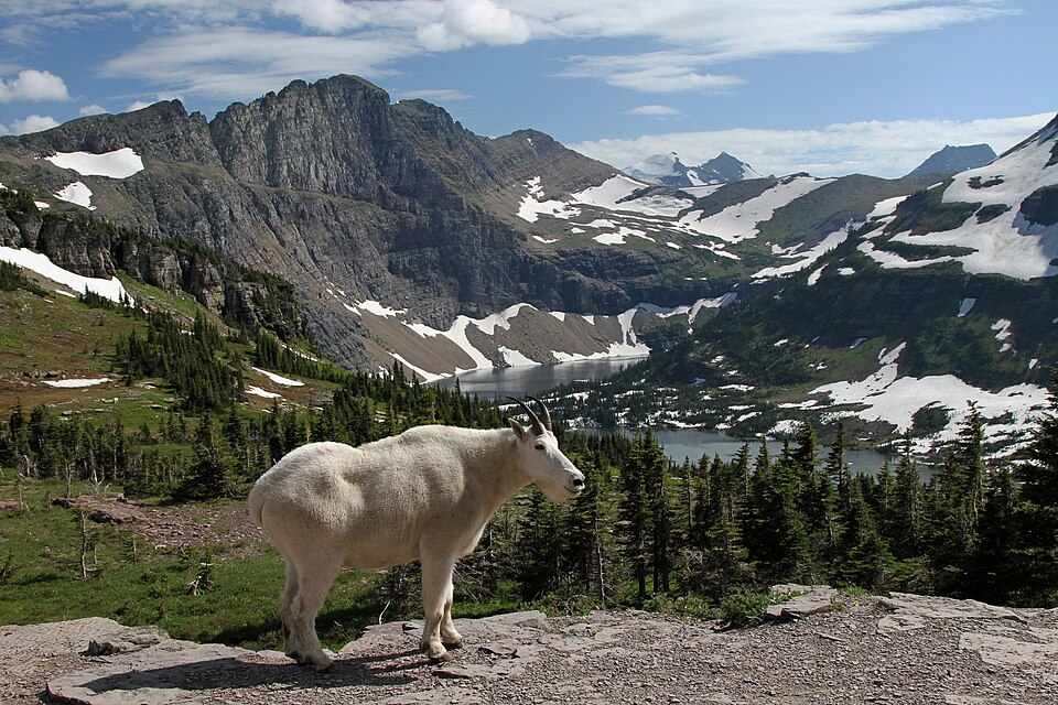 Solo in 2026: Why Bali is Losing Ground to Glacier National Park
